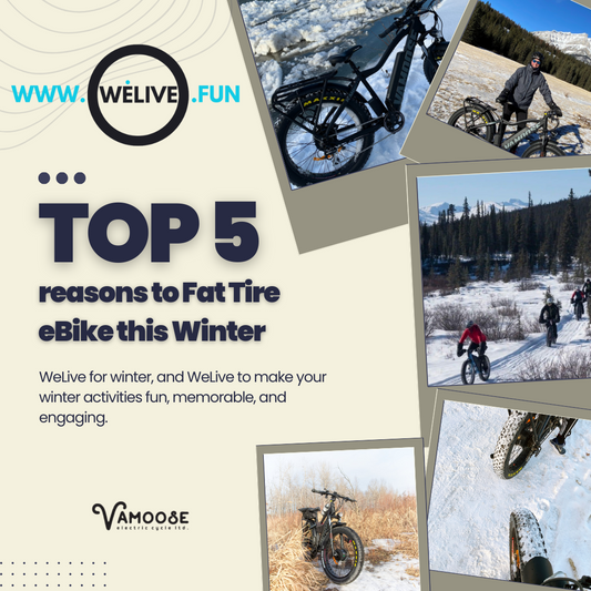 Top 5 Reasons to Fat Tire eBike This Winter in Alberta