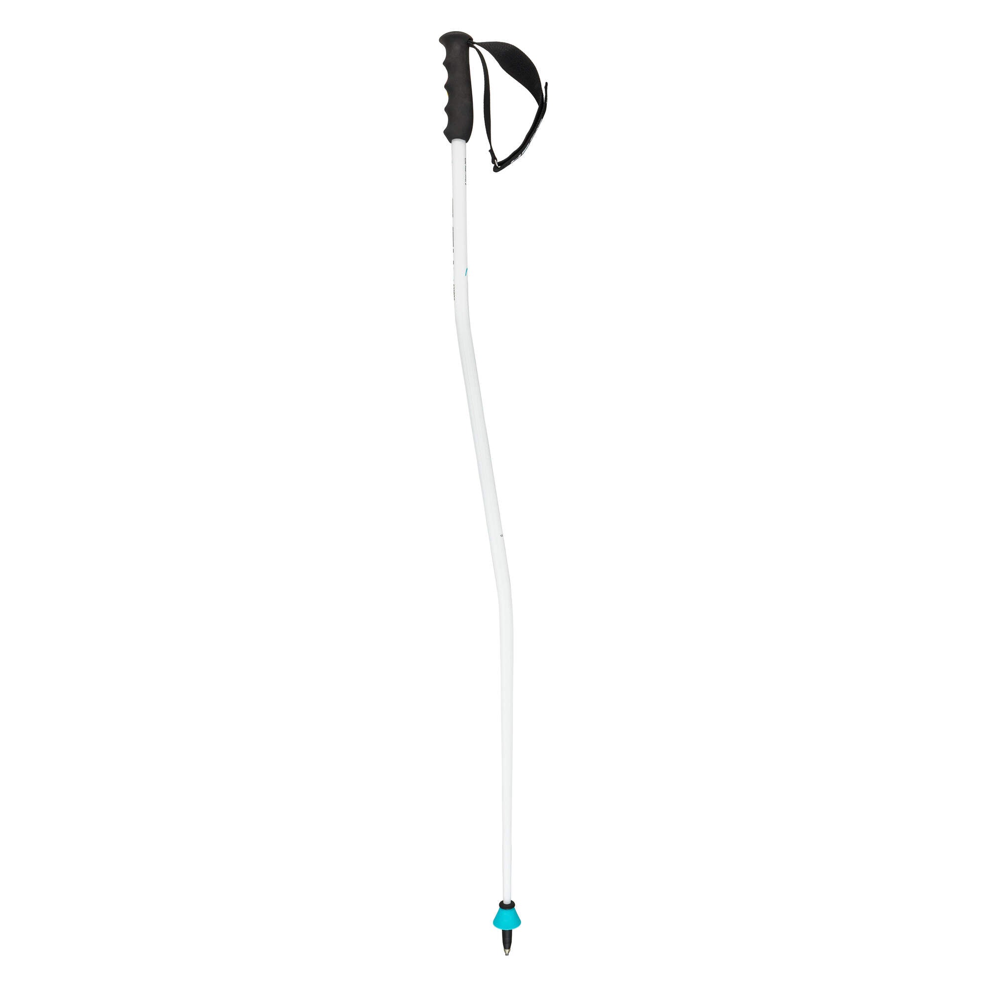 HEAD Worldcup SG Race Ski Poles