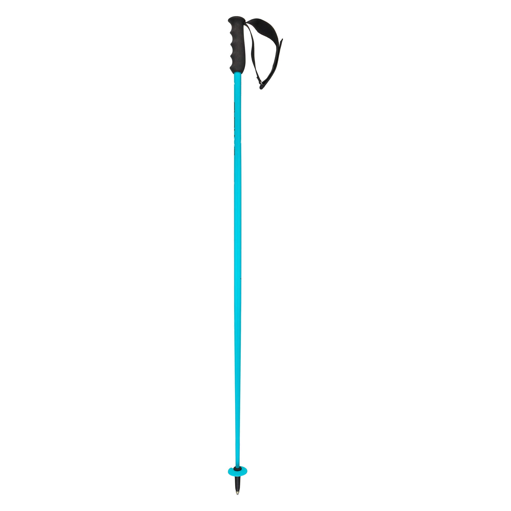 HEAD Worldcup SL Race Ski Poles - Speed Blue