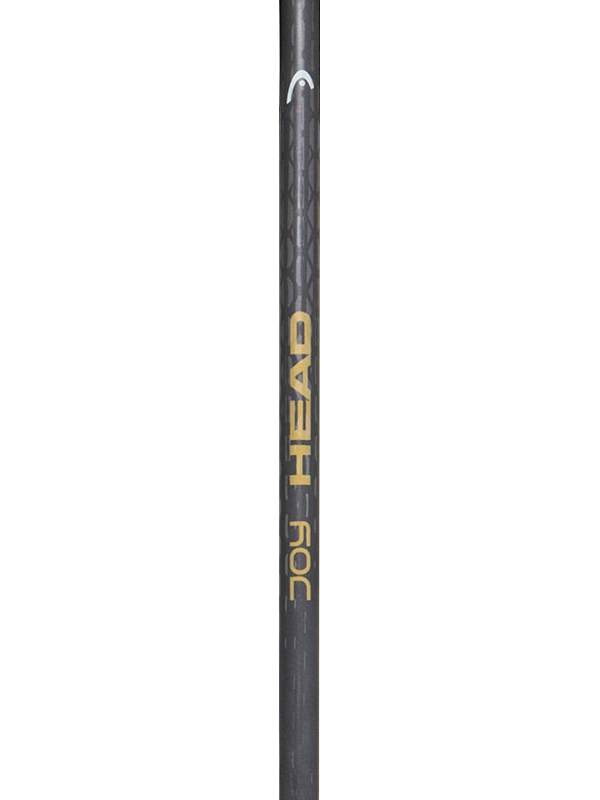 HEAD Joy Women's Ski Poles - Grey Gold