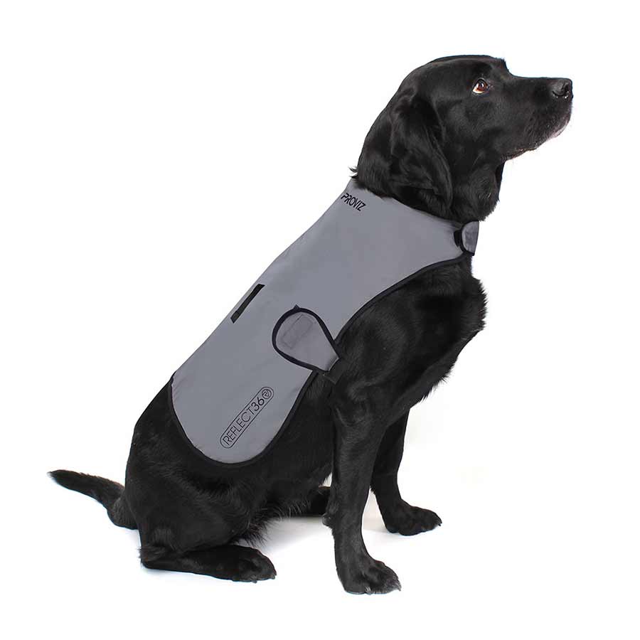 Proviz, Dog Cover, Silver, XL