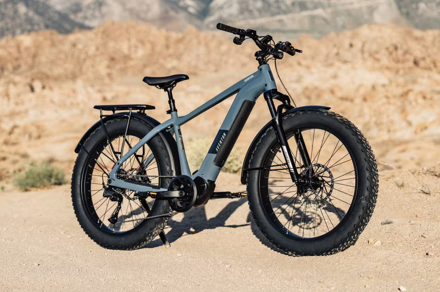 Rack, fenders and lights included