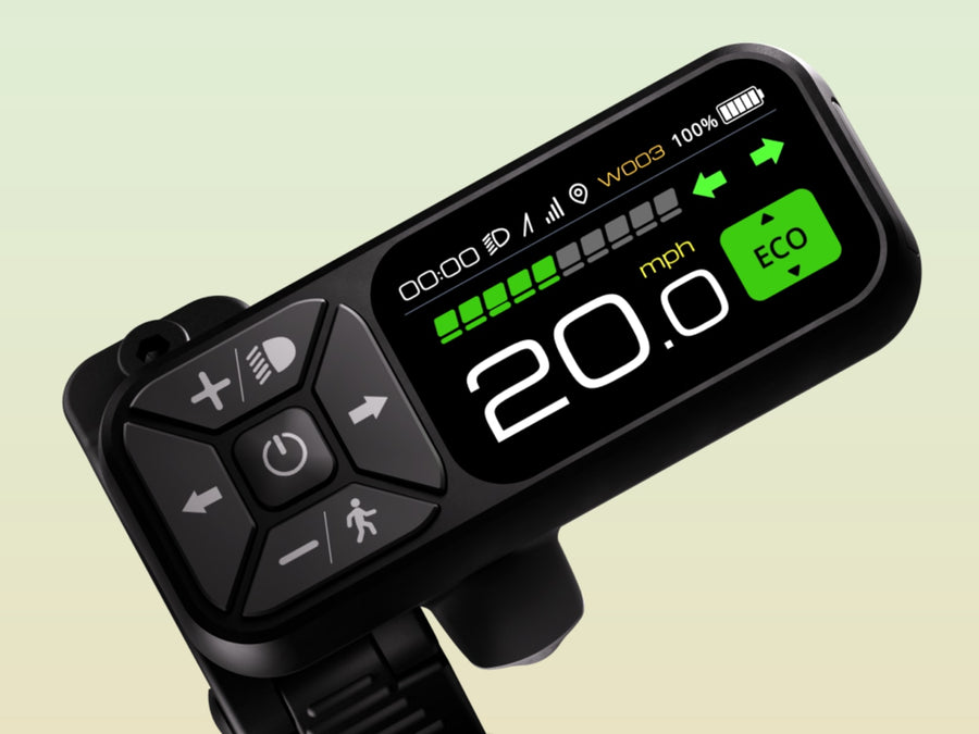 Display and throttle
