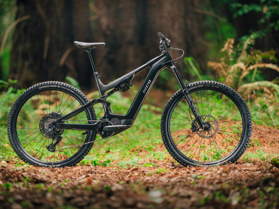 Carbon front triangle