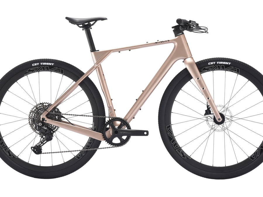 Carbon frame