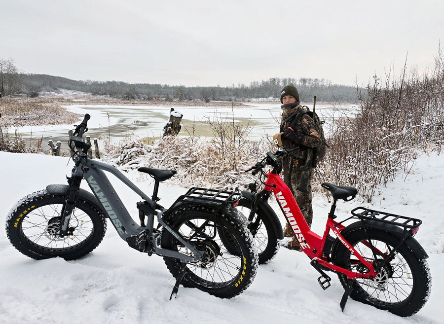 Dual 750W all-wheel drive