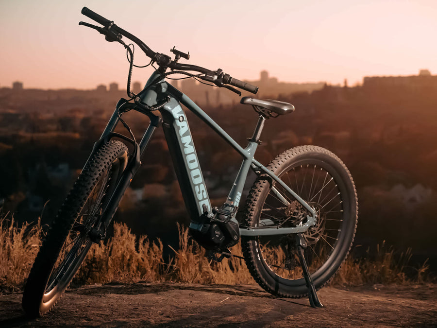 140 mm RST Vibe air fork